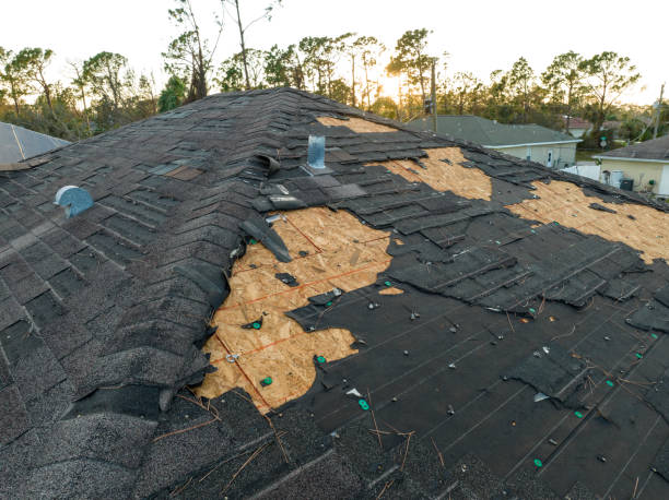 Best Skylight Installation and Repair  in Shelley, ID